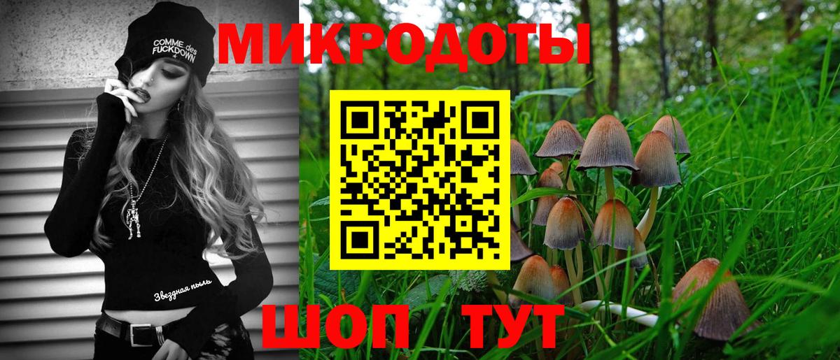 Тайшет  Псилоцибиновые грибы GOLDEN TEACHER  Вход с VPN 